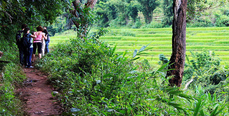 Doi Inthanon Chiang Mai