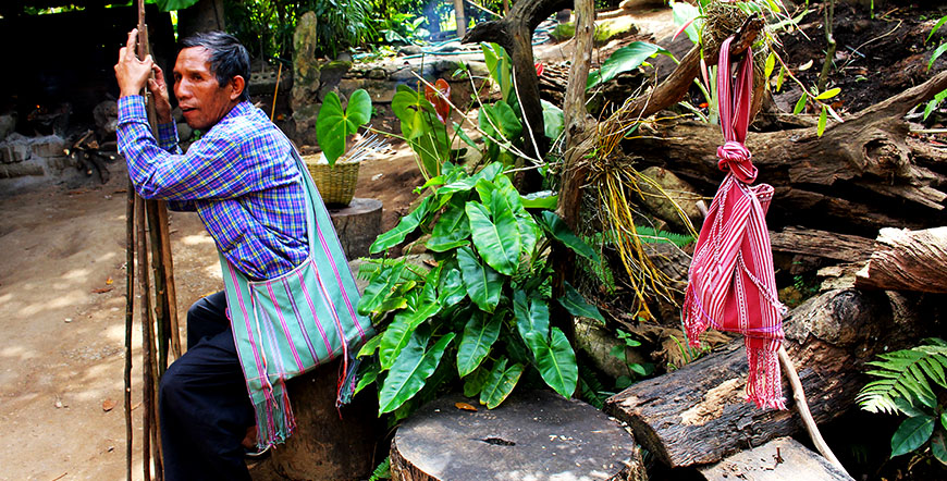 Doi Inthanon Chiang Mai