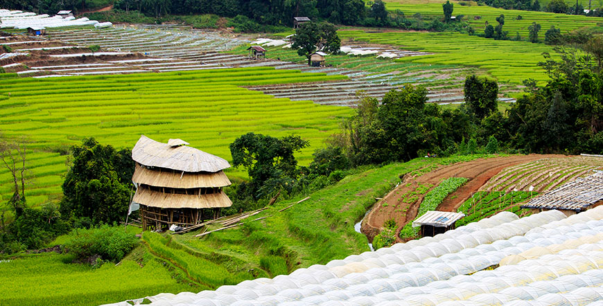 Doi Inthanon Chiang Mai